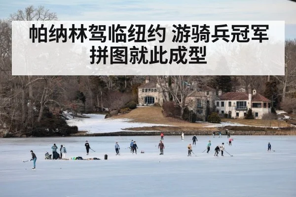 帕纳林驾临纽约 游骑兵冠军拼图就此成型